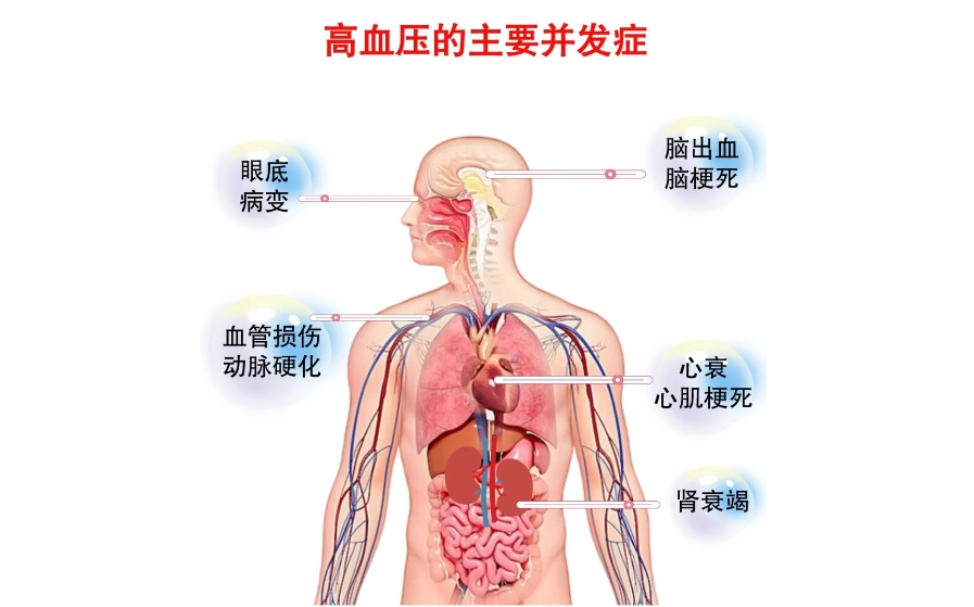 微信截图_20240626145022.png